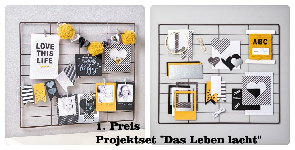 ersterPreisgewinnspiel2016