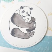 Babykarte_Panda_Blau