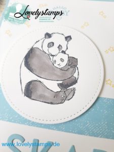 Babykarte_Panda_Blau