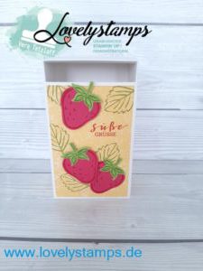 Stampin up leckereien Schachtel erbeeren Farbe Osterglocke