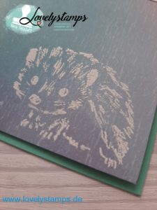 Farbfantasie_Waldspaziergang_Igel