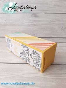 Zany_Zebra_Osterglocke_Box