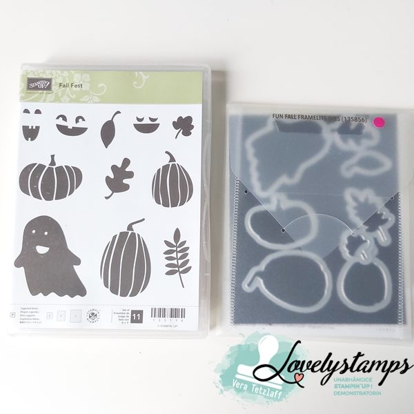 Stampin' Up! Stempelset „Fall Fest“ mit Stanzen - gebraucht - 35 Euro