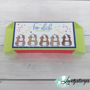 Verpackung mit Meerschweinchen drauf