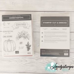Stampin' Up! Produktpaket Herbstgefühl - gebraucht - 45 Euro
