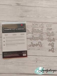 Stampin' Up! Stanzformen Für einen Schatz