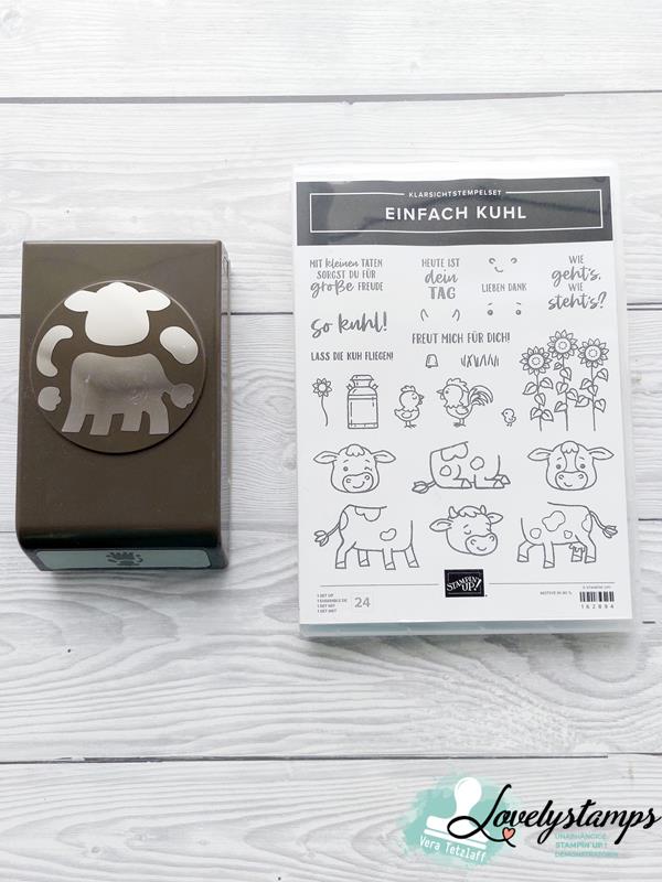 Stampin' Up! Produktpaket Einfach Kuhl