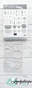 Stempelset Planted Paradise von Stampin' Up! Zu sehen ist die Stempelhülle (DVD Hülle) und darunter das Klarsichtstempelset