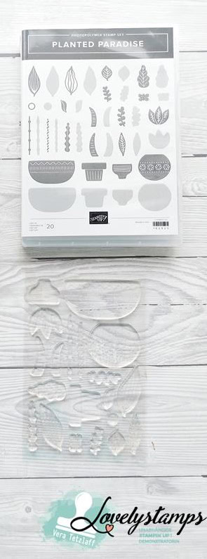 Stempelset Planted Paradise von Stampin' Up! Zu sehen ist die Stempelhülle (DVD Hülle) und darunter das Klarsichtstempelset